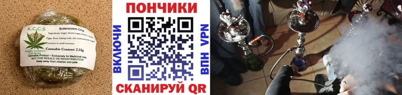 Купить закладки  Приволжский  Cannafood марихуана 