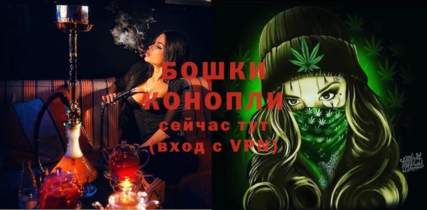 стафф Богородск