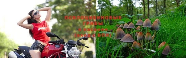 MDMA Premium VHQ Белокуриха